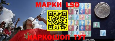 прущие грибы Конаково