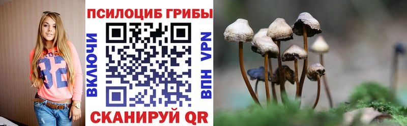 Псилоцибиновые грибы Psilocybine cubensis  Раменское 