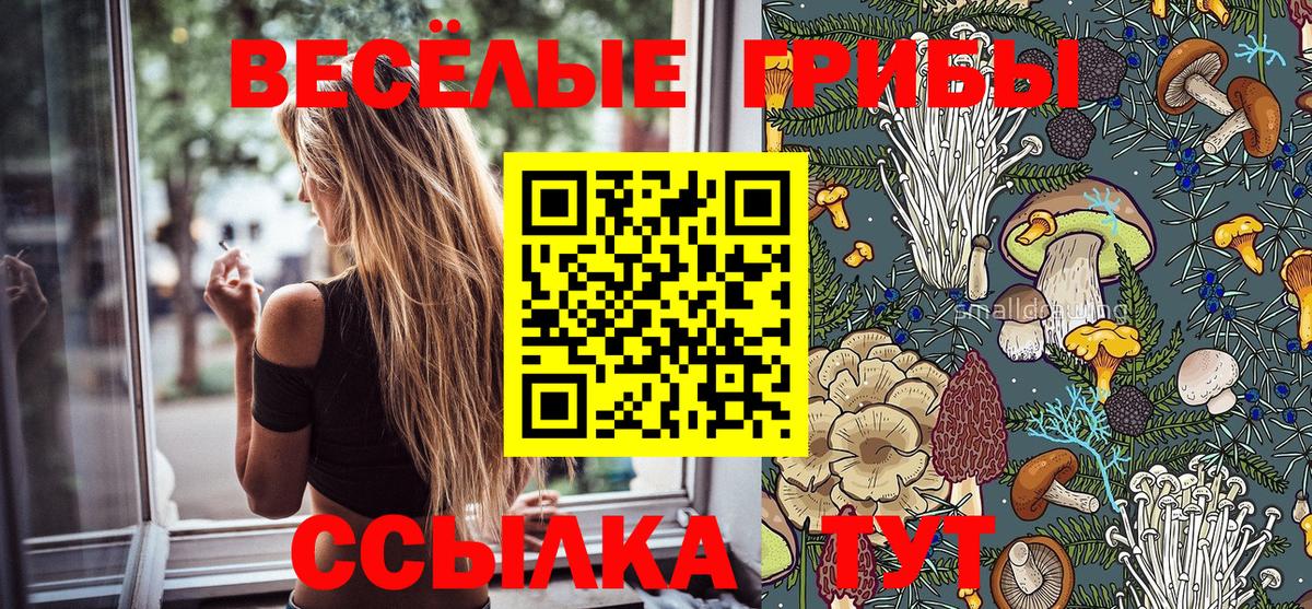 Галлюциногенные грибы прущие грибы Раменское